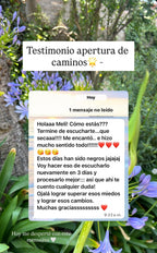 Lectura de Alma - Sanación de Heridas de Infancia