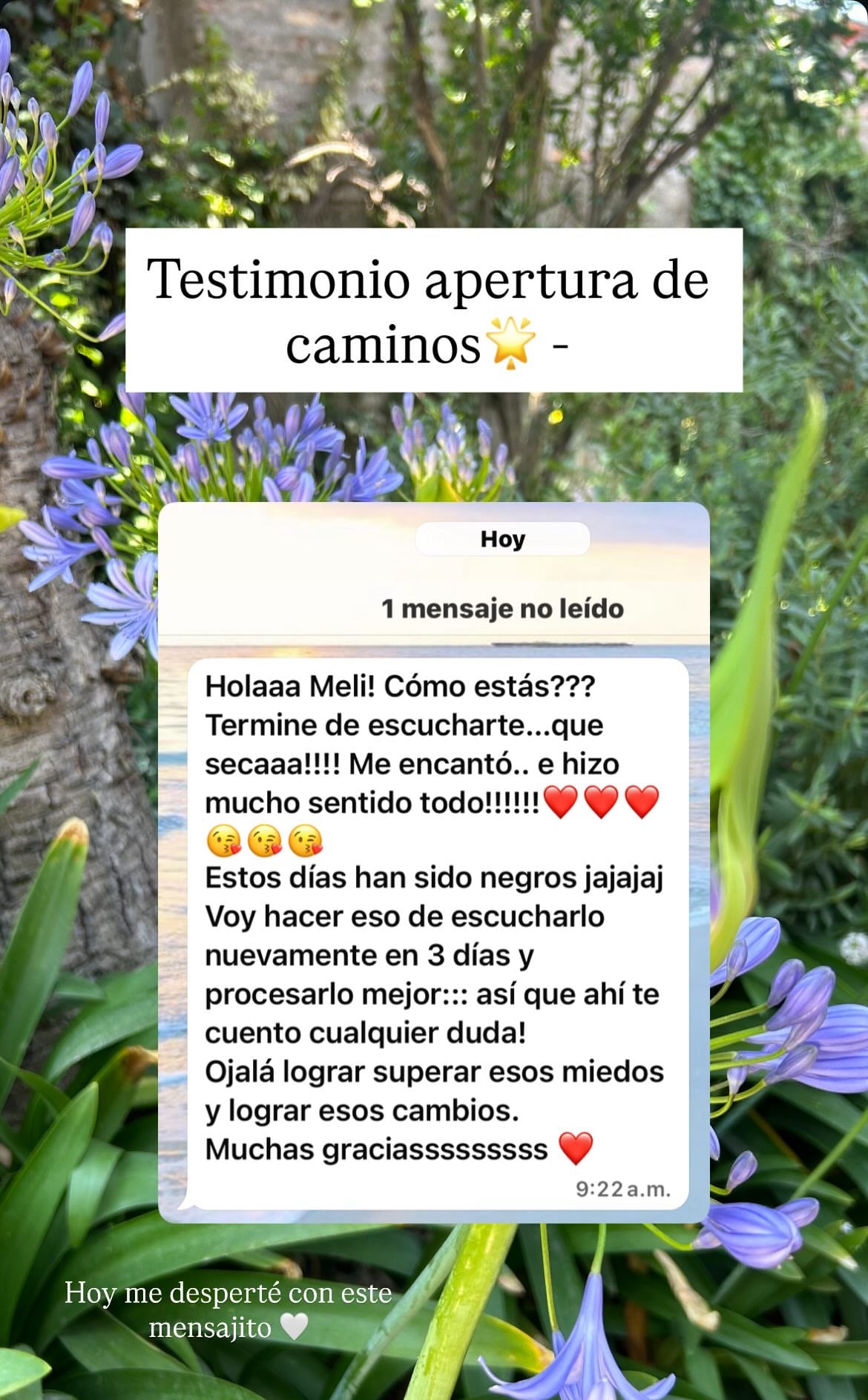 Lectura de Alma - Sanación de Heridas de Infancia